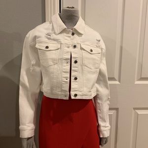 NWT Jack BB Dakota Crop Jacket sz. Sm